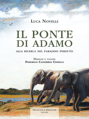 cover image of Il Ponte di Adamo